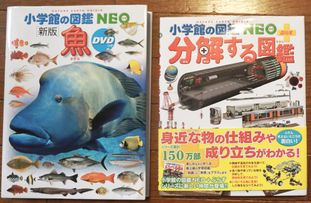 小学館の図鑑neo 人気ランキング 図鑑が子どもに与える効果とその魅力とは ぱぱステーション 小学館の図鑑neo 人気ランキング 図鑑が子どもに与える効果とその魅力とは ぱぱステーション