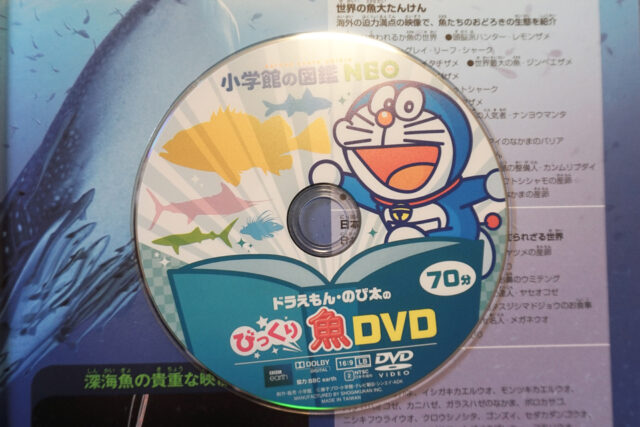 小学館の図鑑neo 人気ランキング 図鑑が子どもに与える効果とその魅力とは ぱぱステーション 小学館の図鑑neo 人気ランキング 図鑑が子どもに与える効果とその魅力とは ぱぱステーション
